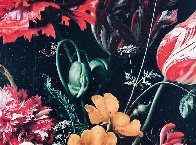 Bruxelles - & 4* Venlo